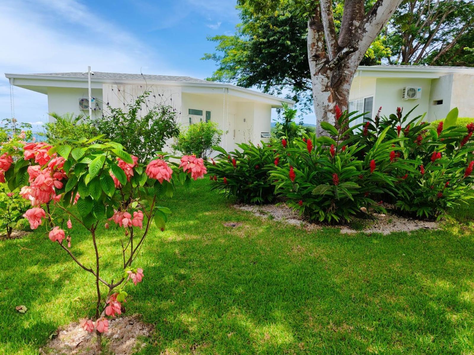 Adeluna Luxury Villas Montezuma Eksteriør bilde
